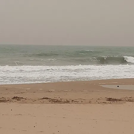 La Bella Almadraba Alicante