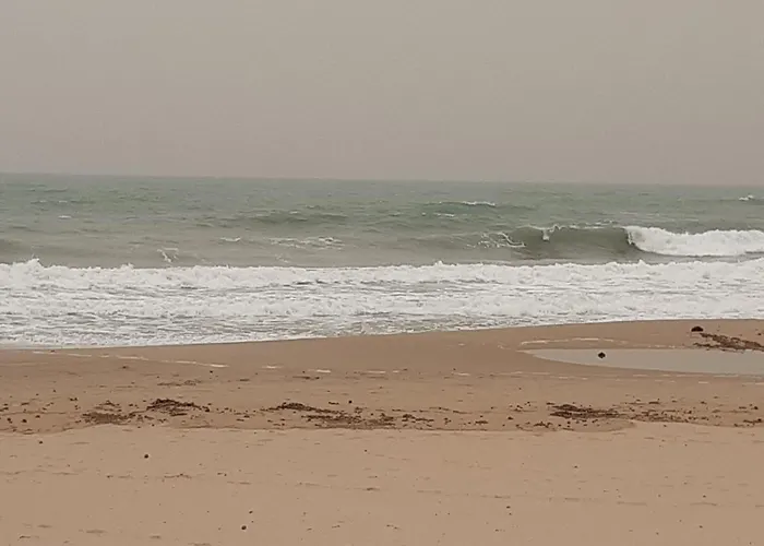 La Bella Almadraba Alicante