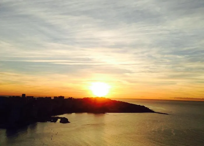 La Bella Almadraba Alicante